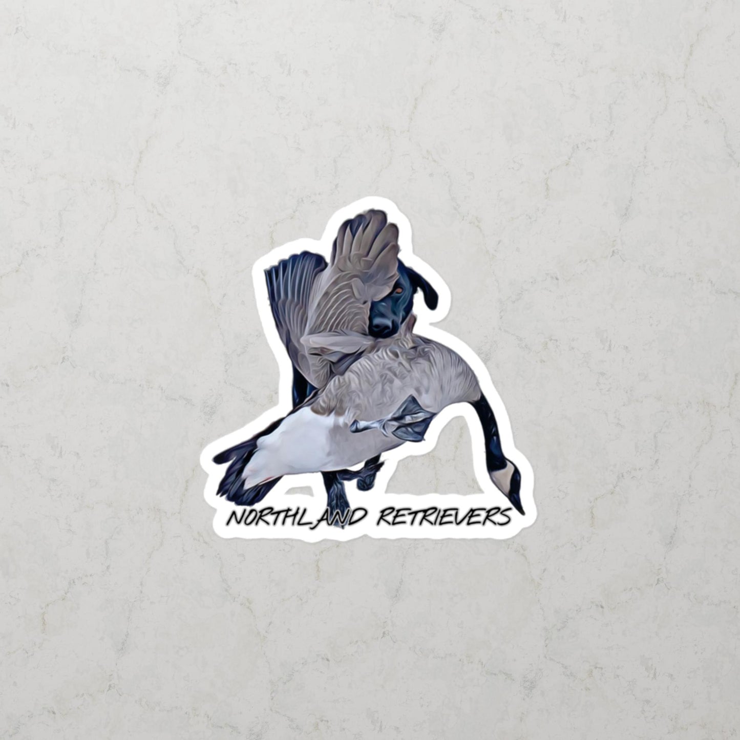 Late Season Honkers - Northland Retrievers