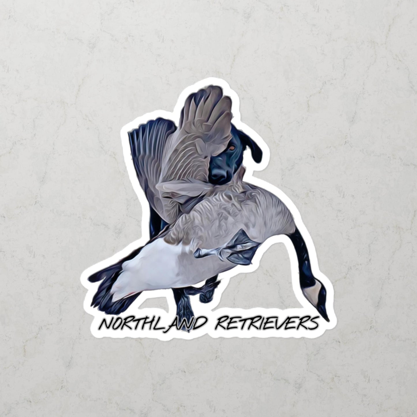 Late Season Honkers - Northland Retrievers